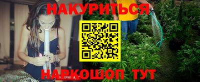 Альфа ПВП Малгобек