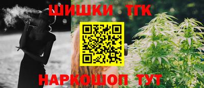 Альфа ПВП Малгобек