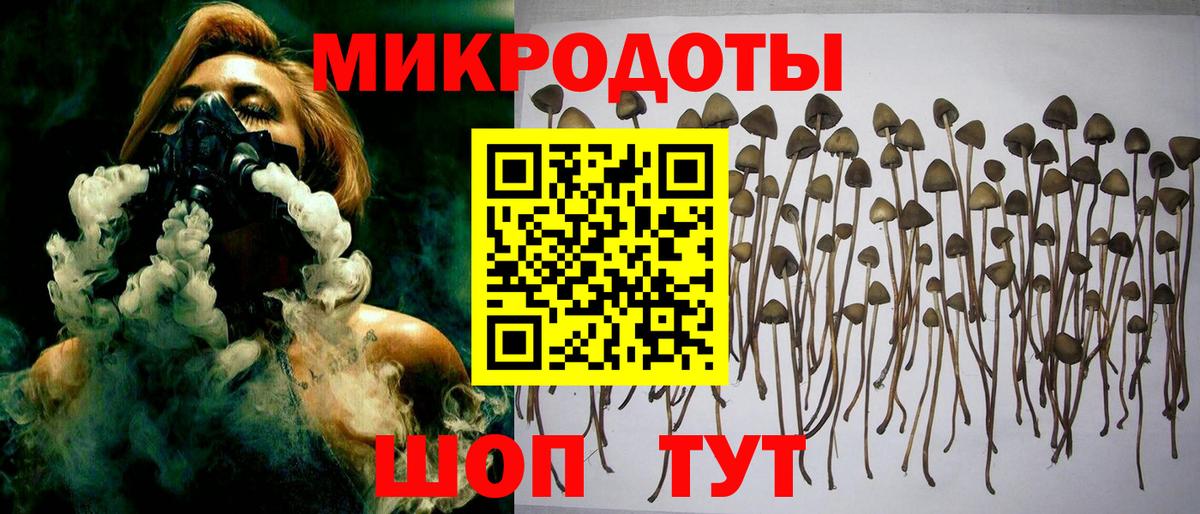 Псилоцибиновые грибы Psilocybe  Псилоцибиновые грибы мухоморы  Вход с VPN  Тулун 